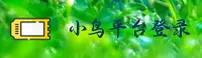BP | 小鸟平台【中国】官方网站 / CN品质服务