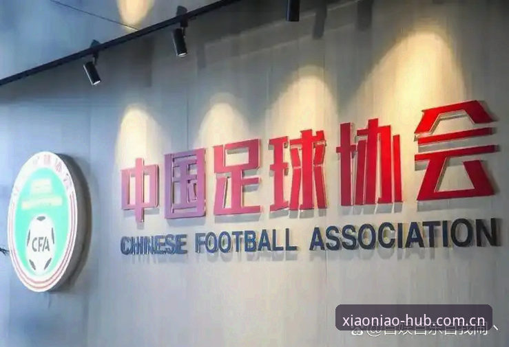BP小鸟平台安卓下载 足协第三批禁足名单解读指南:从BP小鸟平台数据看中国足球反腐风暴